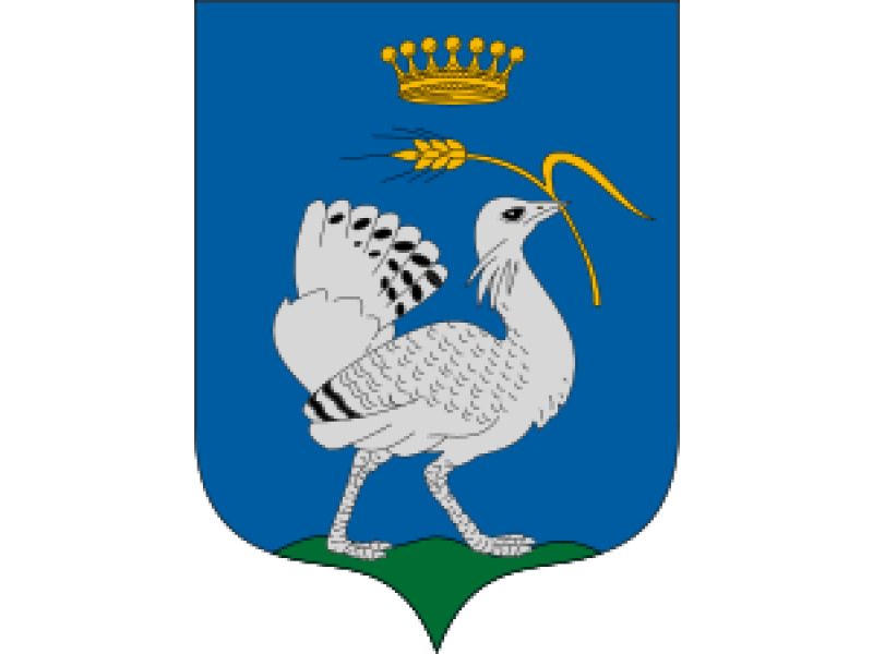 Letölthető Dokumentumok - Madaras